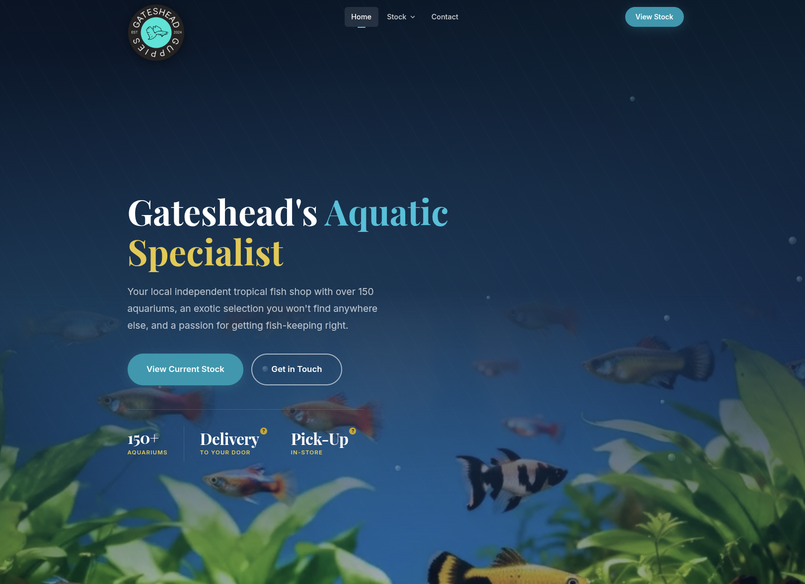 Gateshead Guppies preview