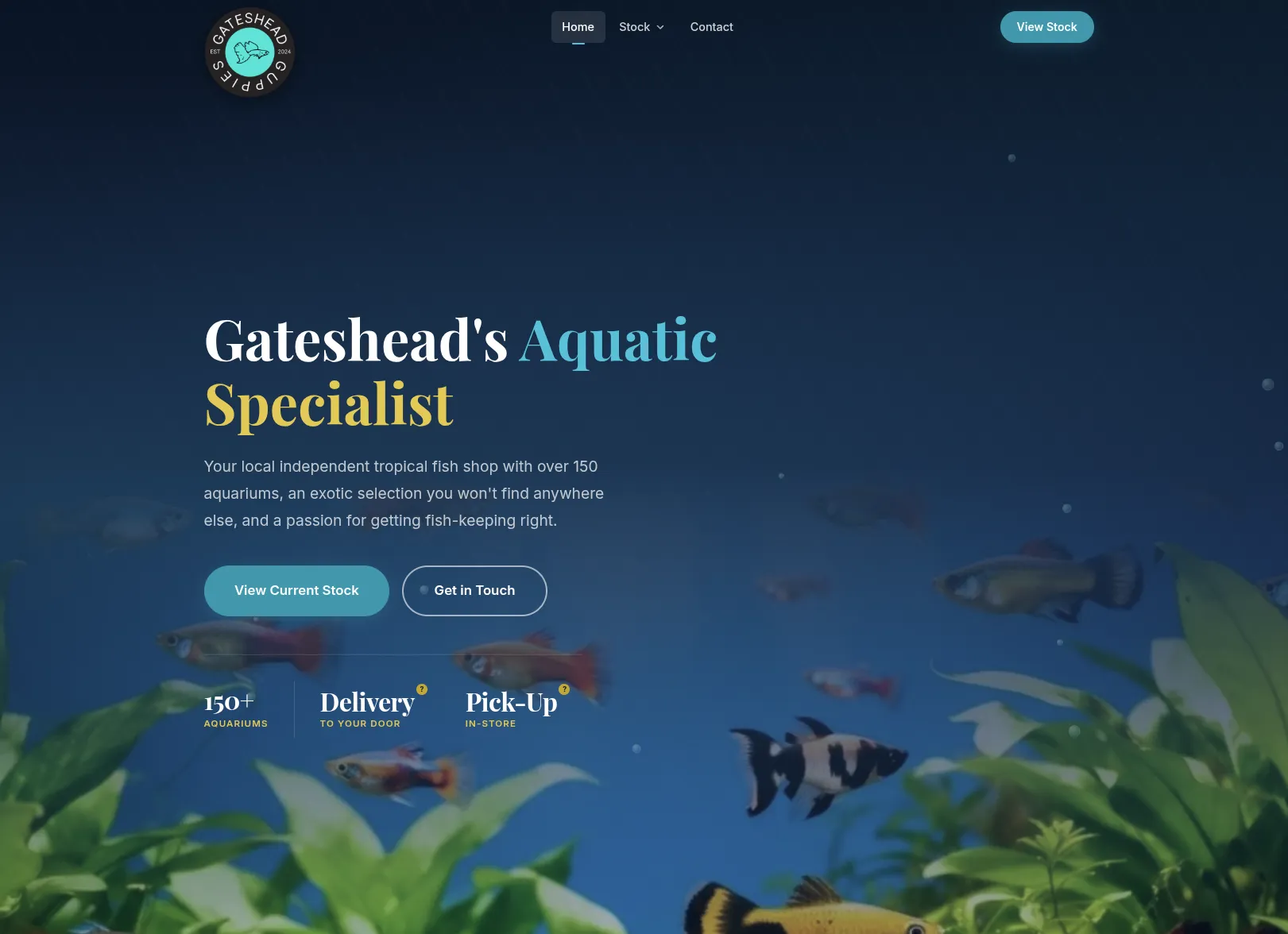 Gateshead Guppies preview