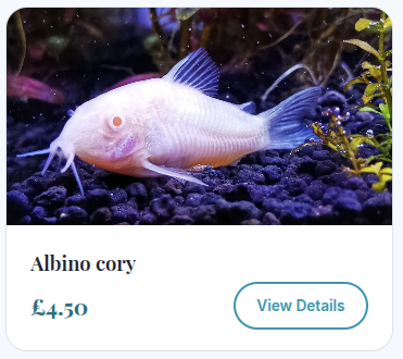Gateshead Guppies